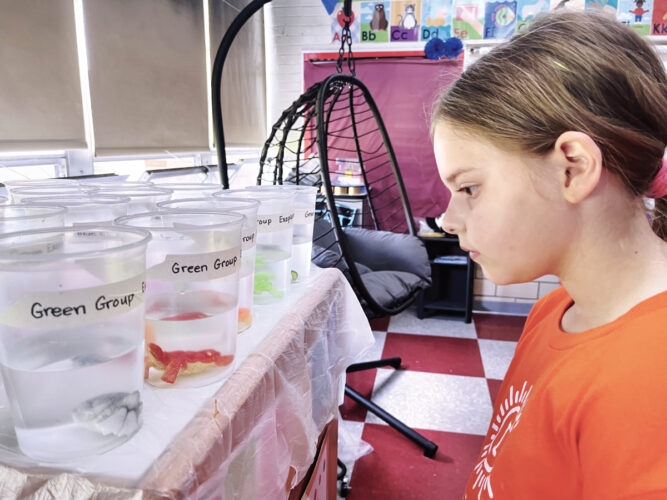 Science informs creativity at Camp Invention